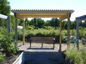 Sarah's Gold Award: Pergola at StonyKill Farm